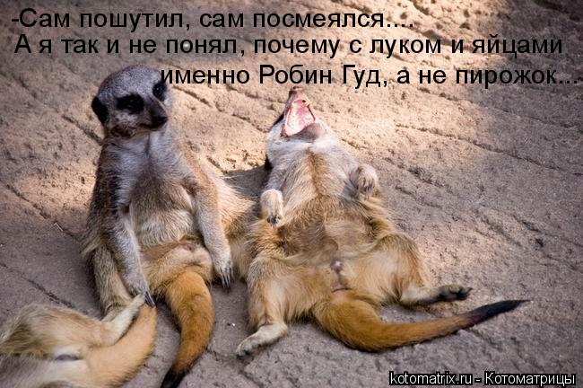 -Сам пошутил, сам посмеялся.... А я так и не понял, почему с луком и яйцами именно Робин Гуд, а не пи... Котоматрица: -Сам пошутил, сам посмеялся.... А я так и не понял, почему с луком и яйцами именно Робин Гуд, а не пирожок...