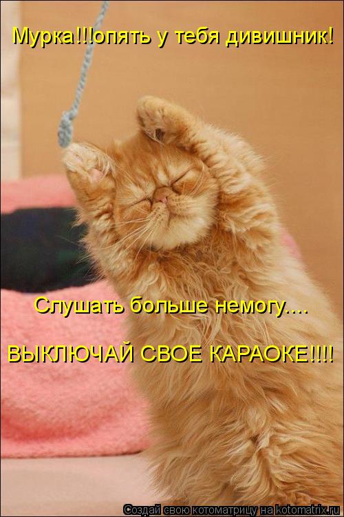 Мурка!!!опять у тебя дивишник! Слушать больше немогу.... ВЫКЛЮЧАЙ СВОЕ КАРАОКЕ!!!!... Котоматрица: Мурка!!!опять у тебя дивишник! Слушать больше немогу.... ВЫКЛЮЧАЙ СВОЕ КАРАОКЕ!!!!