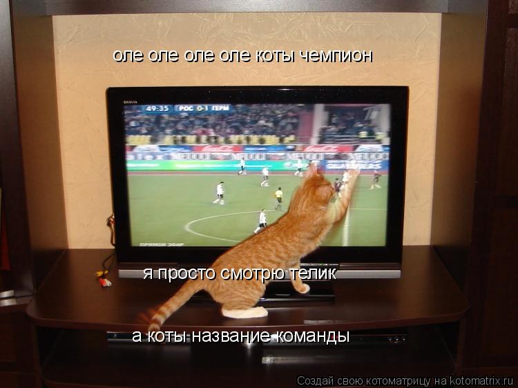 оле оле оле оле коты чемпион я просто смотрю телик а коты название команды... Котоматрица: оле оле оле оле коты чемпион я просто смотрю телик а коты название команды
