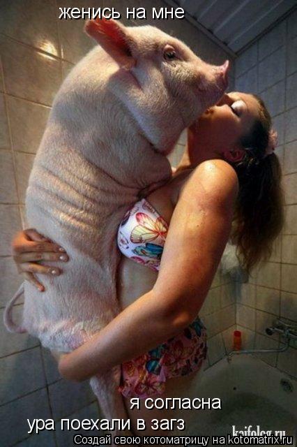 женись на мне я согласна ура поехали в загз... Котоматрица: женись на мне я согласна ура поехали в загз