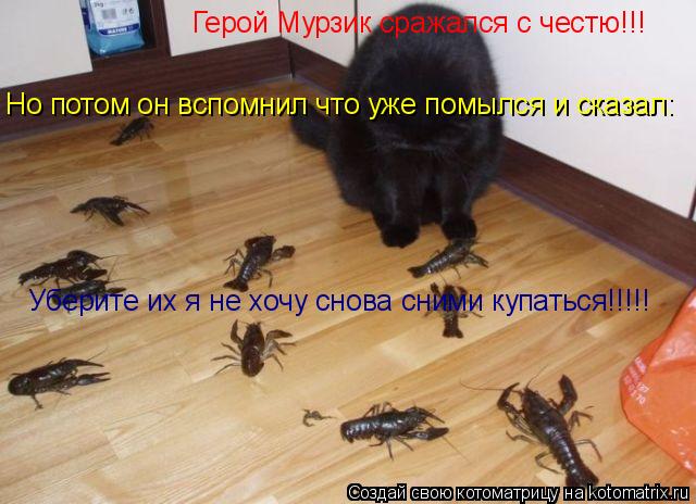 Герой Мурзик сражался с честю!!! Но потом он вспомнил что уже помылся и сказал: Уберите их я не хочу ... Котоматрица: Герой Мурзик сражался с честю!!! Но потом он вспомнил что уже помылся и сказал: Уберите их я не хочу с \\\\\\\\\\\нова сними купаться!!!!! Уберите их
