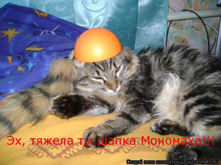 Эх, тяжела ты шапка Мономаха!!!... Котоматрица: Эх, тяжела ты шапка Мономаха!!!