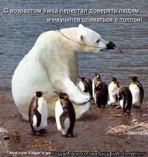 С возрастом Умка перестал доверять людям... и научился сливаться с толпой!... Котоматрица: С возрастом Умка перестал доверять людям... и научился сливаться с толпой!