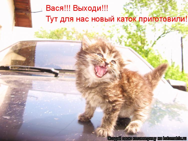 Вася!!! Выходи!!! Тут для нас новый каток приготовили!... Котоматрица: Вася!!! Выходи!!! Тут для нас новый каток приготовили!