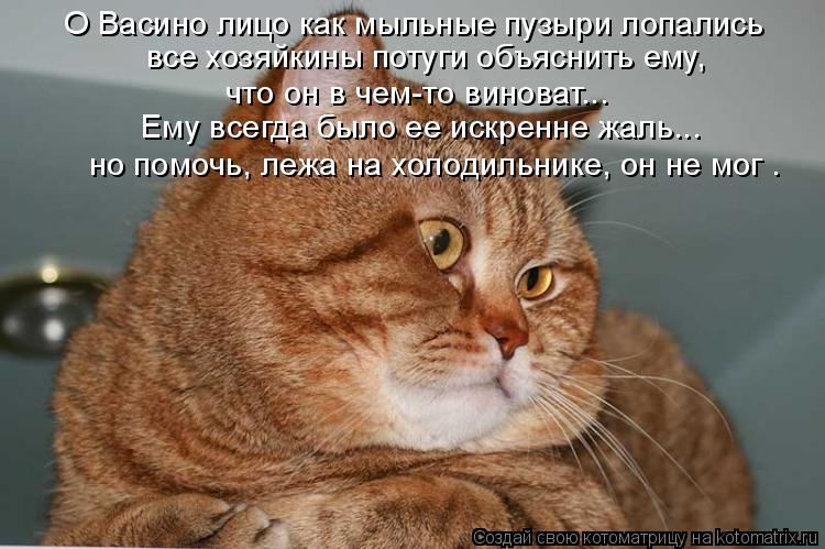 что он в чем-то виноват... О Васино лицо как мыльные пузыри лопались все хозяйкины потуги объяснить е... Котоматрица: что он в чем-то виноват... О Васино лицо как мыльные пузыри лопались все хозяйкины потуги объяснить ему, Ему всегда было ее искренне жаль... но