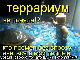 не поняла!? кто посмел без спросу явиться в мой теплый террариум... Котоматрица: не поняла!? кто посмел без спросу явиться в мой теплый террариум