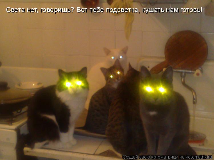 Света нет, говоришь? Вот тебе подсветка, кушать нам готовь!... Котоматрица: Света нет, говоришь? Вот тебе подсветка, кушать нам готовь!