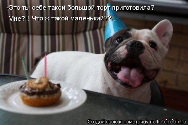 -Это ты себе такой большой торт приготовила? Мне?!! Что ж такой маленький??!...... Котоматрица: -Это ты себе такой большой торт приготовила? Мне?!! Что ж такой маленький??!...