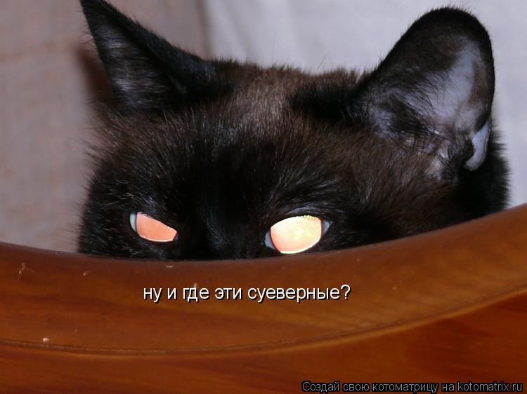ну и где эти суеверные?... Котоматрица: ну и где эти суеверные?