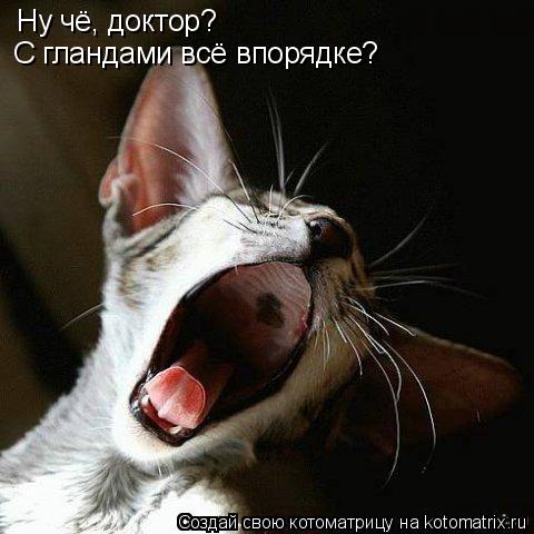 Ну чё, доктор? С гландами всё впорядке?... Котоматрица: Ну чё, доктор? С гландами всё впорядке?