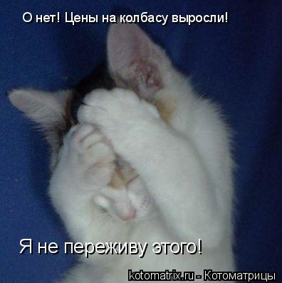 О нет! Цены на колбасу выросли! Я не переживу этого!... Котоматрица: О нет! Цены на колбасу выросли! Я не переживу этого!