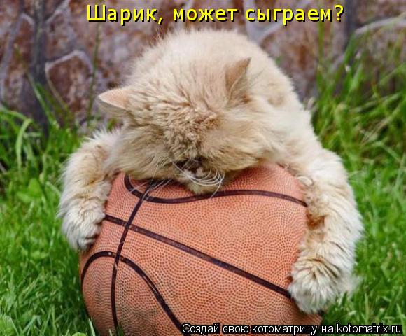Шарик, может сыграем?... Котоматрица: Шарик, может сыграем?