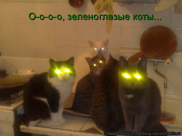 О-о-о-о, зеленоглазые коты...... Котоматрица: О-о-о-о, зеленоглазые коты...