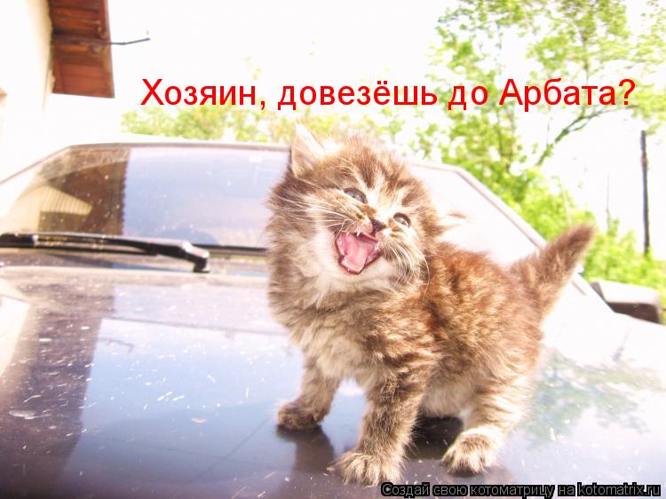 Хозяин, довезёшь до Арбата?... Котоматрица: Хозяин, довезёшь до Арбата?