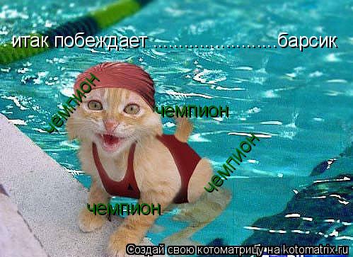 итак побеждает ........................барсик чемпион чемпион чемпион чемпион... Котоматрица: итак побеждает ........................барсик чемпион чемпион чемпион чемпион
