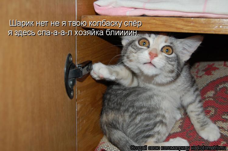Шарик нет не я твою колбаску спёр я здесь спа-а-а-л хозяйка блиииин.... Котоматрица: Шарик нет не я твою колбаску спёр я здесь спа-а-а-л хозяйка блиииин.