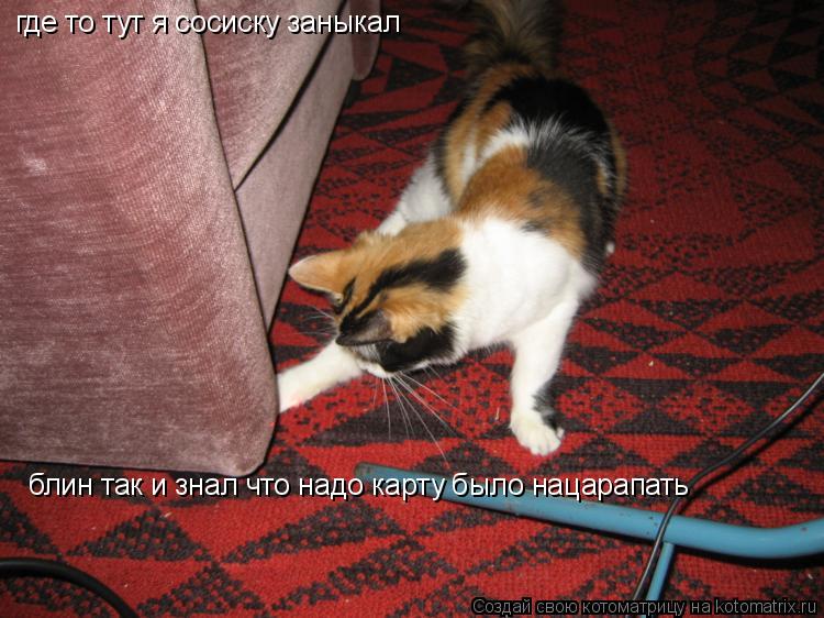 где то тут я сосиску заныкал блин так и знал что надо карту было нацарапать... Котоматрица: где то тут я сосиску заныкал блин так и знал что надо карту было нацарапать