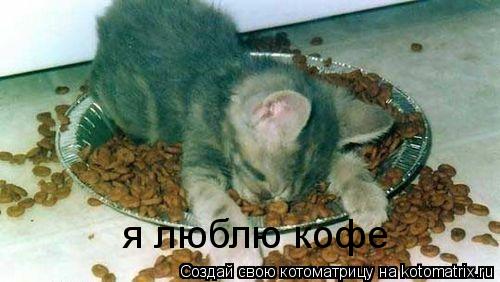 я люблю кофе... Котоматрица: я люблю кофе