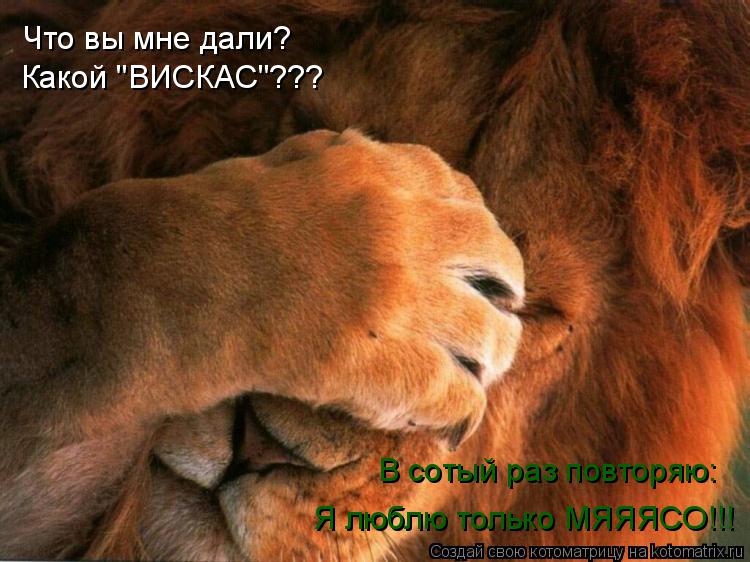 Что вы мне дали? Какой "ВИСКАС"??? В сотый раз повторяю: Я люблю только МЯЯЯСО!!!... Котоматрица: Что вы мне дали? Какой "ВИСКАС"??? В сотый раз повторяю: Я люблю только МЯЯЯСО!!!