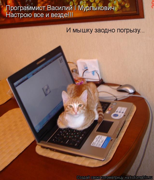 Программист Василий I Мурлыкович. Настрою все и везде!!! И мышку заодно погрызу...... Котоматрица: Программист Василий I Мурлыкович. Настрою все и везде!!! И мышку заодно погрызу...
