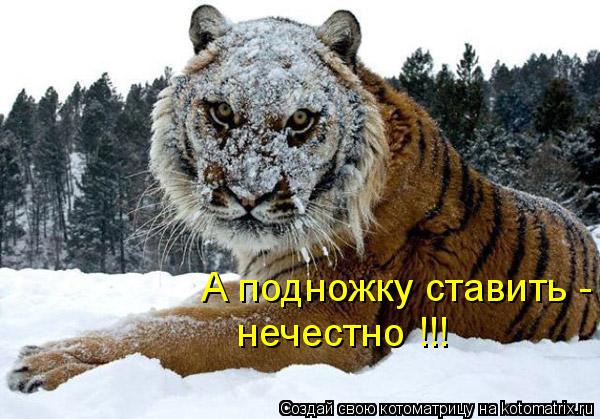 А подножку ставить - нечестно !!!... Котоматрица: А подножку ставить - нечестно !!!