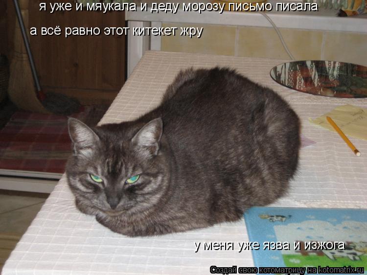 я уже и мяукала и деду морозу письмо писала а всё равно этот китекет жру у меня уже язва и изжога... Котоматрица: я уже и мяукала и деду морозу письмо писала а всё равно этот китекет жру у меня уже язва и изжога