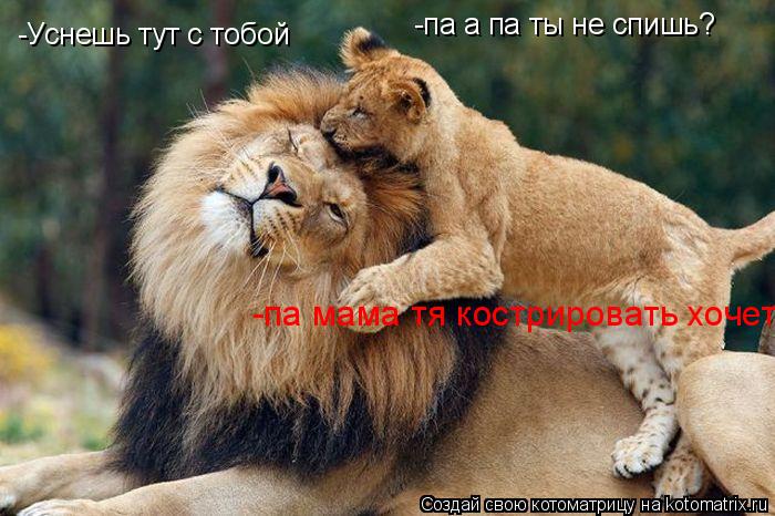 -па а па ты не спишь? -Уснешь тут с тобой -па мама тя кострировать хочет... Котоматрица: -па а па ты не спишь? -Уснешь тут с тобой -па мама тя кострировать хочет