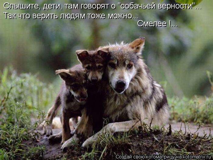 Слышите, дети, там говорят о "собачьей верности"... Так что верить людям тоже можно... Смелее !...... Котоматрица: Слышите, дети, там говорят о "собачьей верности"... Так что верить людям тоже можно... Смелее !...