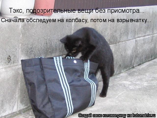Котоматрица: Тэкс, подозрительные вещи без присмотра... Сначала обследуем на колбасу, потом на взрывчатку...