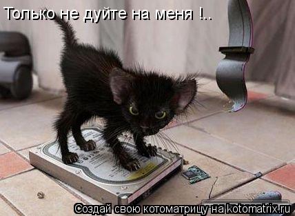 Только не дуйте на меня !..... Котоматрица: Только не дуйте на меня !..