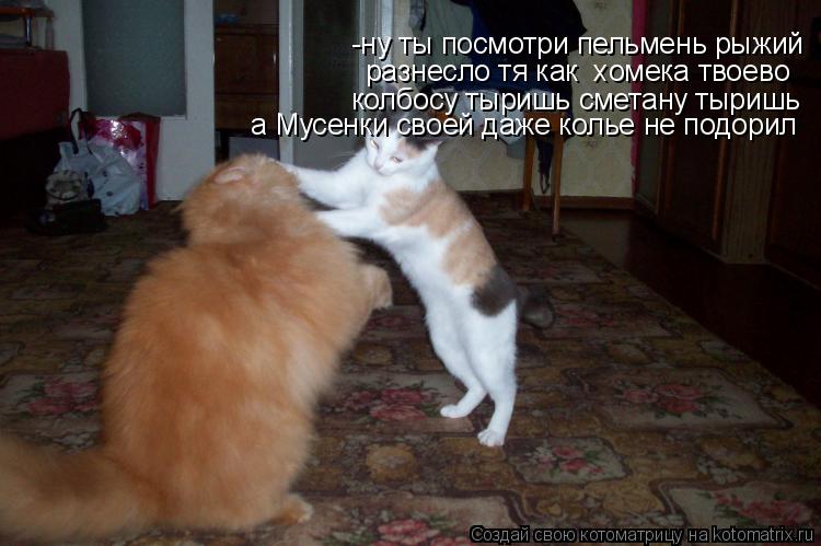 -ну ты посмотри пельмень рыжий разнесло тя как хомека твоево колбосу тыришь сметану тыришь а Мусен... Котоматрица: -ну ты посмотри пельмень рыжий разнесло тя как хомека твоево колбосу тыришь сметану тыришь а Мусенки своей даже колье не подорил