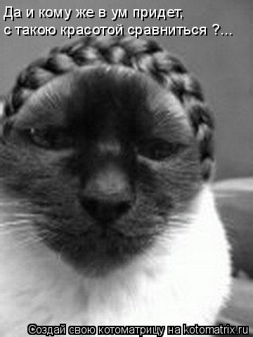 Да и кому же в ум придет, с такою красотой сравниться ?...... Котоматрица: Да и кому же в ум придет, с такою красотой сравниться ?...