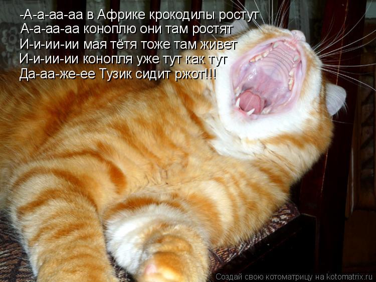 -А-а-аа-аа в Африке крокодилы ростут А-а-аа-аа коноплю они там ростят И-и-ии-ии мая тётя тоже там жив... Котоматрица: -А-а-аа-аа в Африке крокодилы ростут А-а-аа-аа коноплю они там ростят И-и-ии-ии мая тётя тоже там живет И-и-ии-ии конопля уже тут как тут Да-аа-же