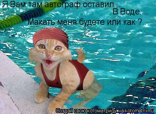 Я Вам там автограф оставил... В Воде.... Макать меня будете или как ?..... Котоматрица: Я Вам там автограф оставил... В Воде.... Макать меня будете или как ?..