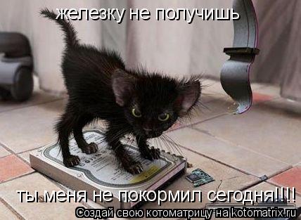 железку не получишь ты меня не покормил сегодня!!!!... Котоматрица: железку не получишь ты меня не покормил сегодня!!!!