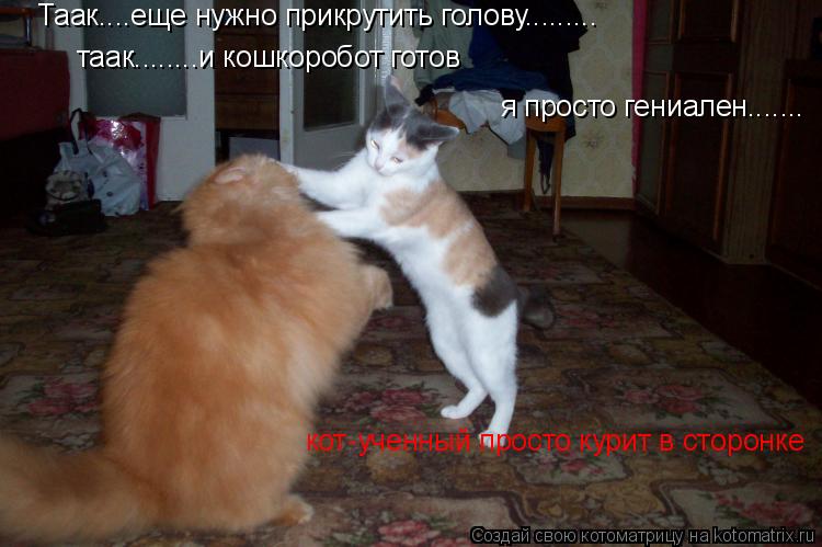 Таак....еще нужно прикрутить голову......... таак........и кошкоробот готов я просто гениален....... ... Котоматрица: Таак....еще нужно прикрутить голову......... таак........и кошкоробот готов я просто гениален....... кот-ученный просто курит в сторонке