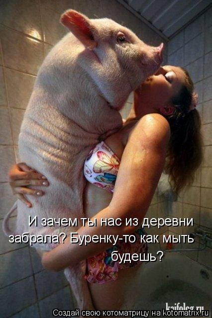 И зачем ты нас из деревни забрала? Буренку-то как мыть будешь?... Котоматрица: И зачем ты нас из деревни забрала? Буренку-то как мыть будешь?