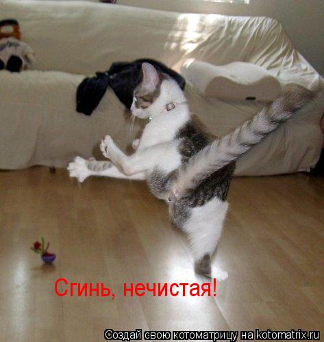 Сгинь, нечистая!... Котоматрица: Сгинь, нечистая!