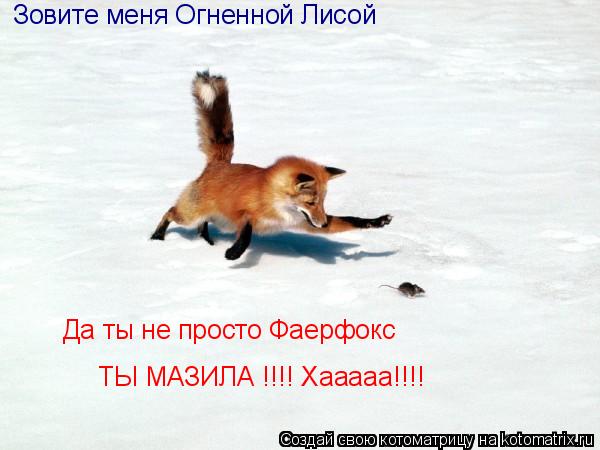 Да ты не просто Фаерфокс ТЫ МАЗИЛА !!!! Хааааа!!!! Зовите меня Огненной Лисой... Котоматрица: Да ты не просто Фаерфокс ТЫ МАЗИЛА !!!! Хааааа!!!! Зовите меня Огненной Лисой