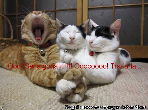 Ooo! Seria goria!!!!!!! Oooooooo! Tra-la-la...... Котоматрица: Ooo! Seria goria!!!!!!! Oooooooo! Tra-la-la...