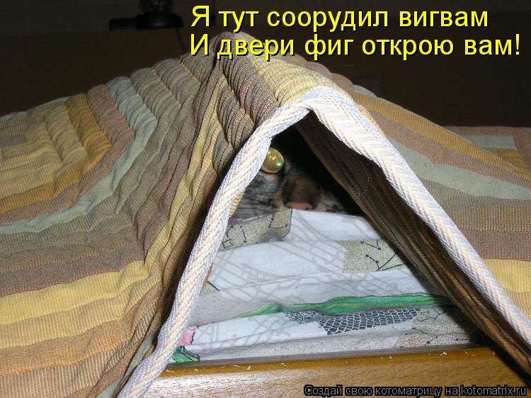 Я тут соорудил вигвам И двери фиг открою вам!... Котоматрица: Я тут соорудил вигвам И двери фиг открою вам!