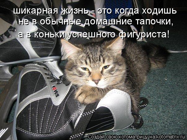 Котоматрица: шикарная жизнь - это когда ходишь не в обычные домашние тапочки, а в коньки успешного фигуриста!