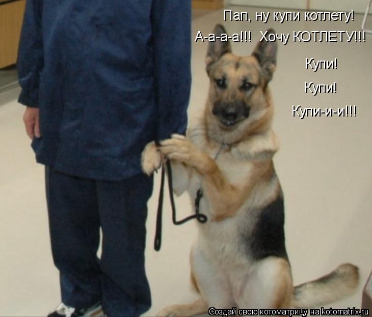 Пап, ну купи котлету! А-а-а-а!!! Хочу КОТЛЕТУ!!! Купи! Купи! Купи-и-и!!!... Котоматрица: Пап, ну купи котлету! А-а-а-а!!! Хочу КОТЛЕТУ!!! Купи! Купи! Купи-и-и!!!