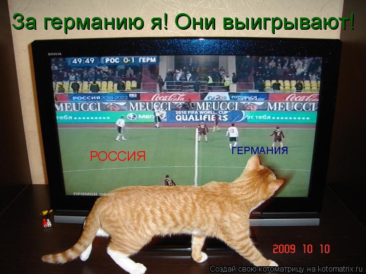 РОССИЯ ГЕРМАНИЯ За германию я! Они выигрывают!... Котоматрица: РОССИЯ ГЕРМАНИЯ За германию я! Они выигрывают!
