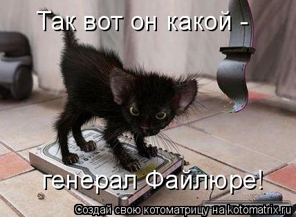 Так вот он какой - генерал Файлюре!... Котоматрица: Так вот он какой - генерал Файлюре!