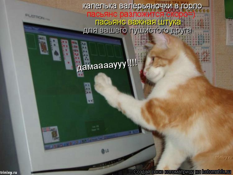 капелька валерьяночки в горло пасьянс разложится скоро=) пасьянс важная штука для вашего пушистого д... Котоматрица: капелька валерьяночки в горло пасьянс разложится скоро=) пасьянс важная штука для вашего пушистого друга дамааааууу!!!!