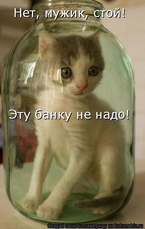 Нет, мужик, стой! Эту банку не надо!... Котоматрица: Нет, мужик, стой! Эту банку не надо!
