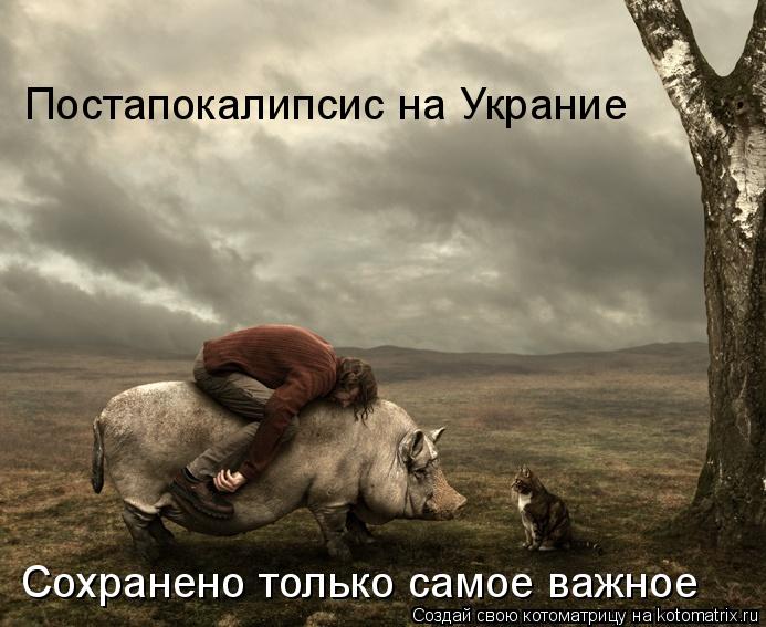 Постапокалипсис на Украние Сохранено только самое важное... Котоматрица: Постапокалипсис на Украние Сохранено только самое важное