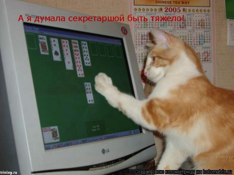 А я думала секретаршой быть тяжело!... Котоматрица: А я думала секретаршой быть тяжело!
