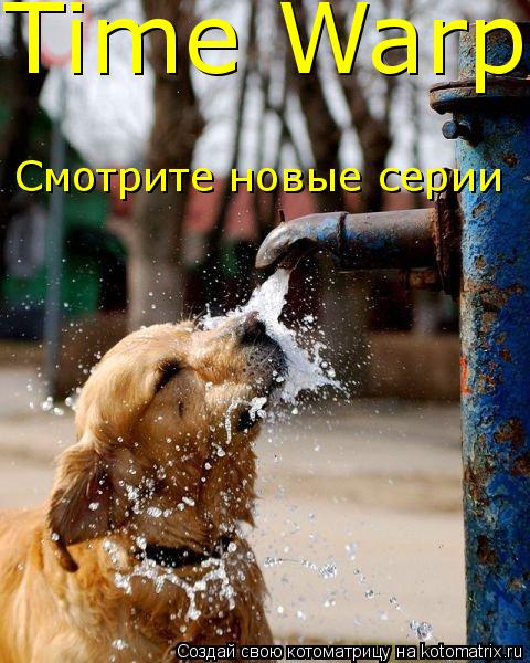 Time Warp Смотрите новые серии... Котоматрица: Time Warp Смотрите новые серии